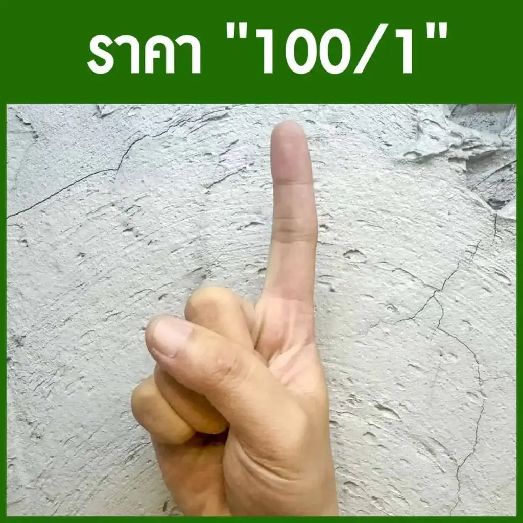 ราคา 100/1 หรือ ร้อยละบาท